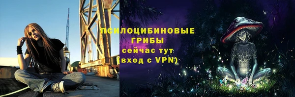 таблы Богородск