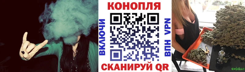 Марихуана конопля  Мосальск 